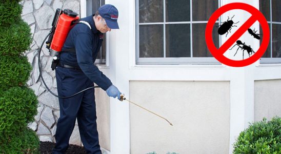 Sakarya Haşere İlaçlama böcek ilaçlama ve haşere kontrolü — ilaclama-tr.com